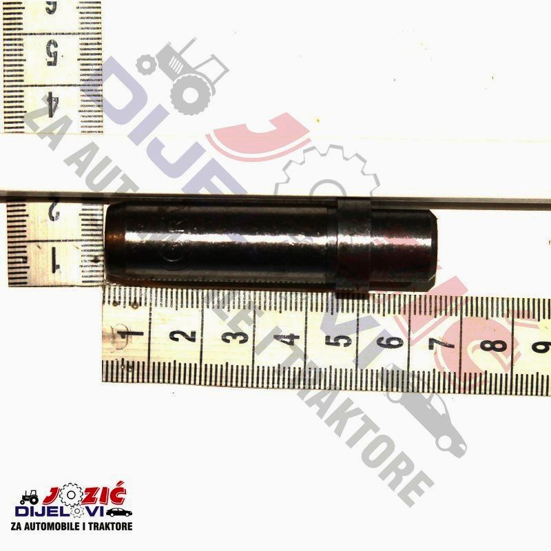 Daisy on the Ohoopee