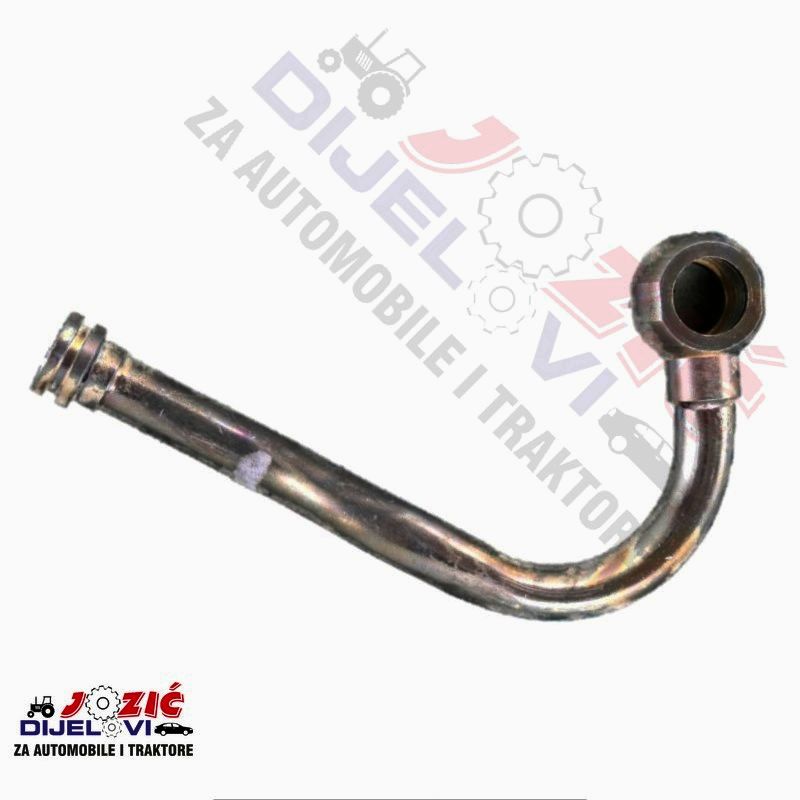 Daisy on the Ohoopee