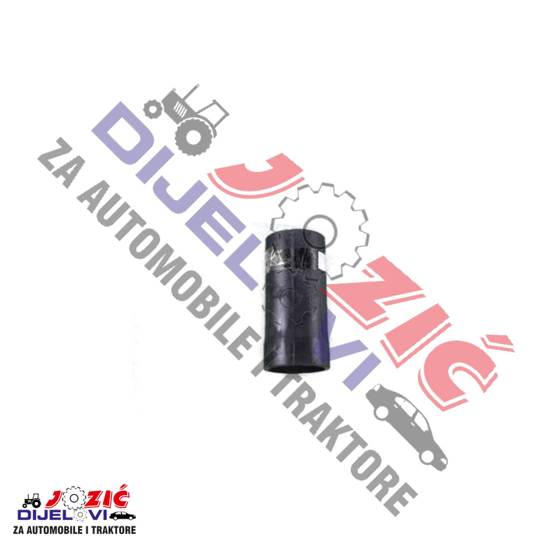 Daisy on the Ohoopee