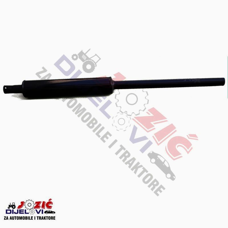 Daisy on the Ohoopee