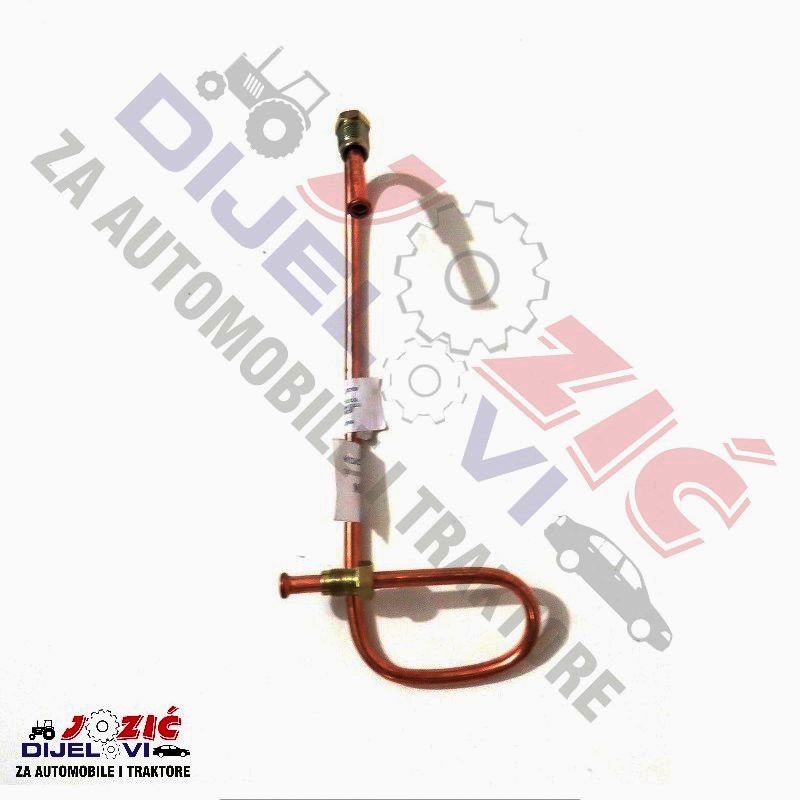 Daisy on the Ohoopee