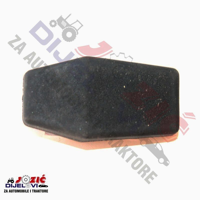 Daisy on the Ohoopee