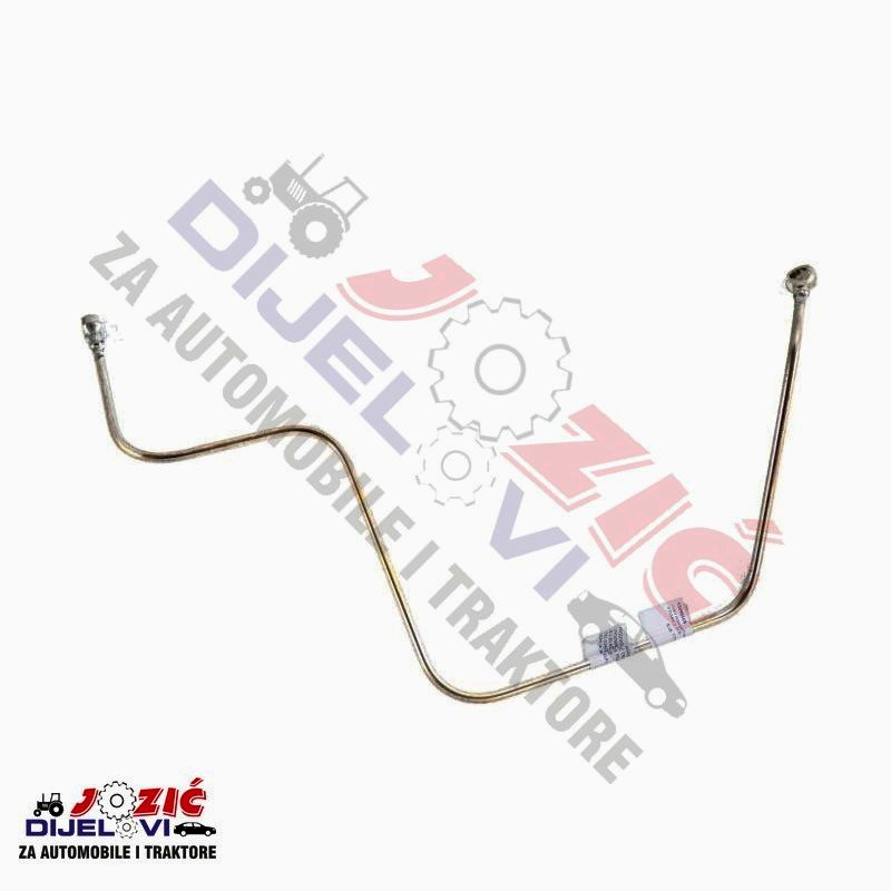 Daisy on the Ohoopee