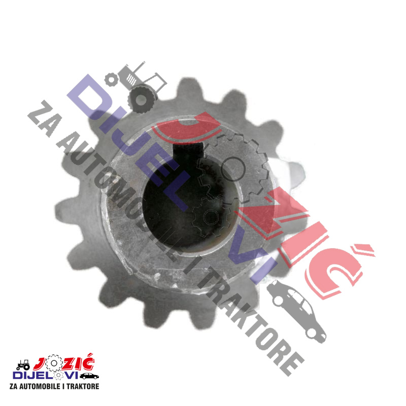 Daisy on the Ohoopee