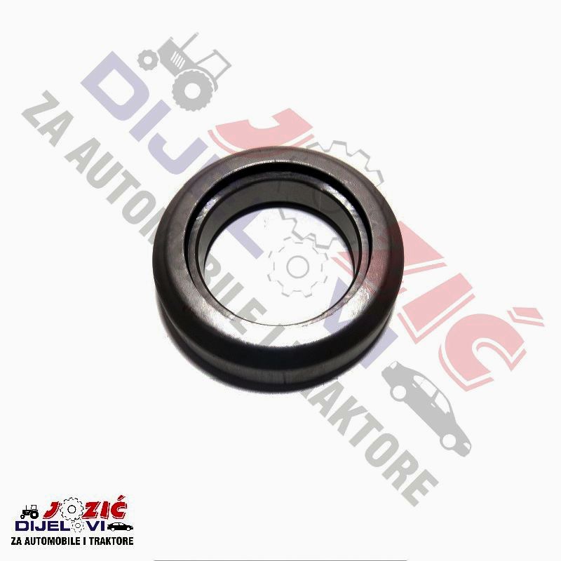 Daisy on the Ohoopee