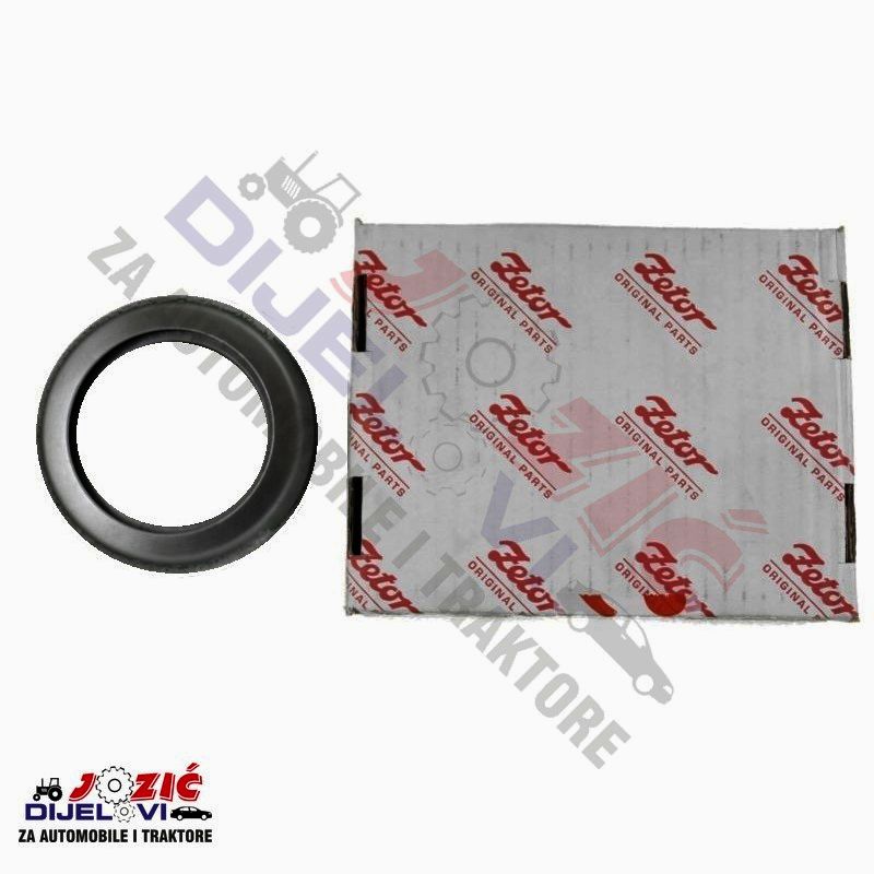 Daisy on the Ohoopee