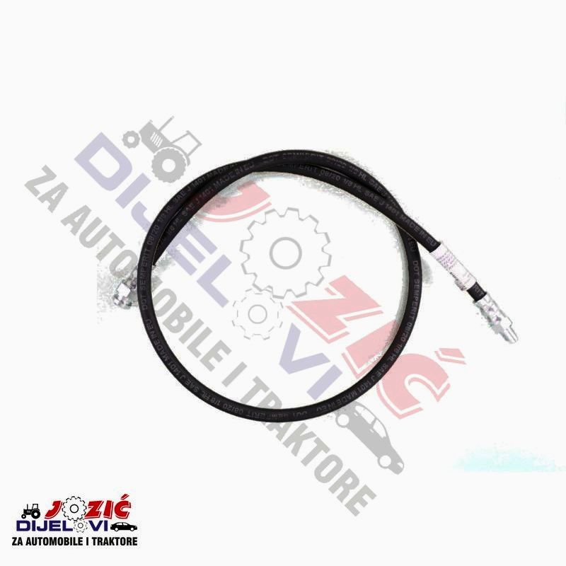 Daisy on the Ohoopee