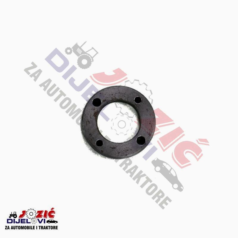 Daisy on the Ohoopee