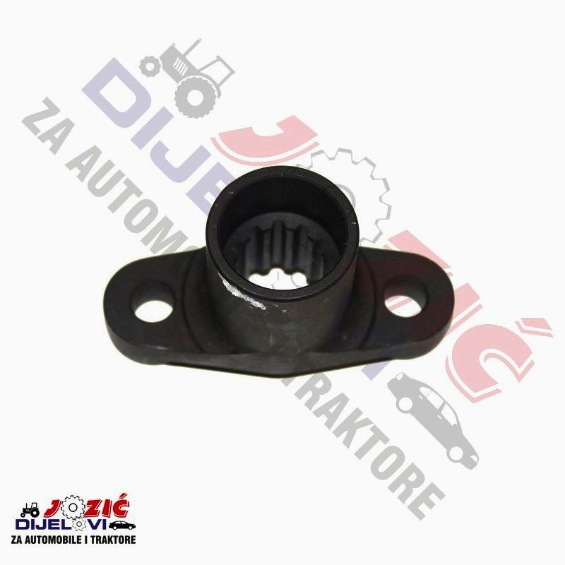 Daisy on the Ohoopee