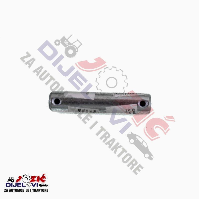 Daisy on the Ohoopee