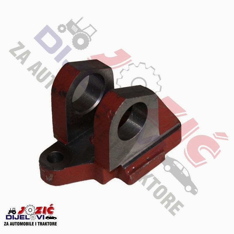 Daisy on the Ohoopee