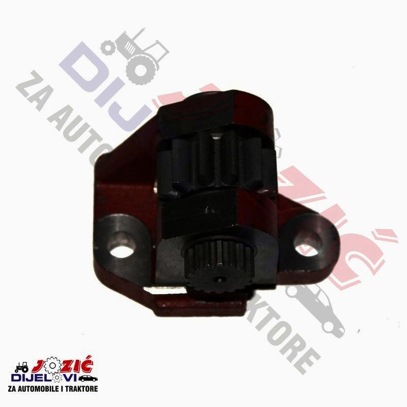 Daisy on the Ohoopee