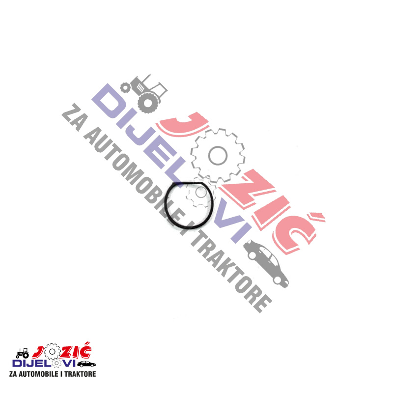 Daisy on the Ohoopee