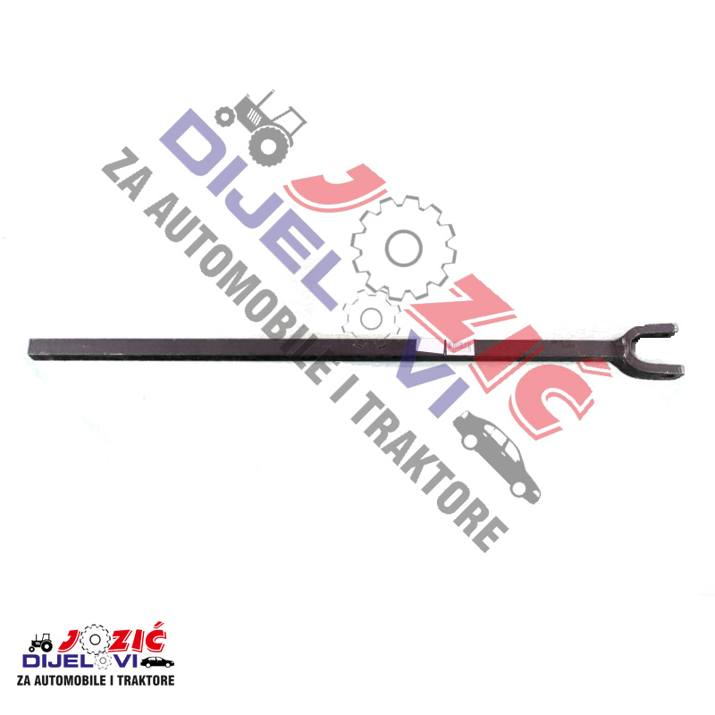 Daisy on the Ohoopee