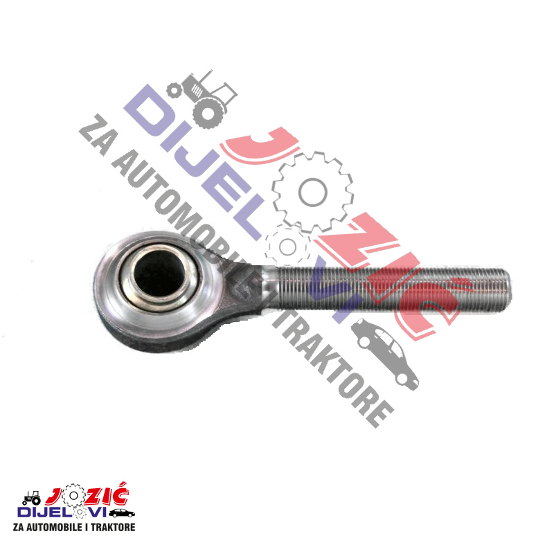 Daisy on the Ohoopee