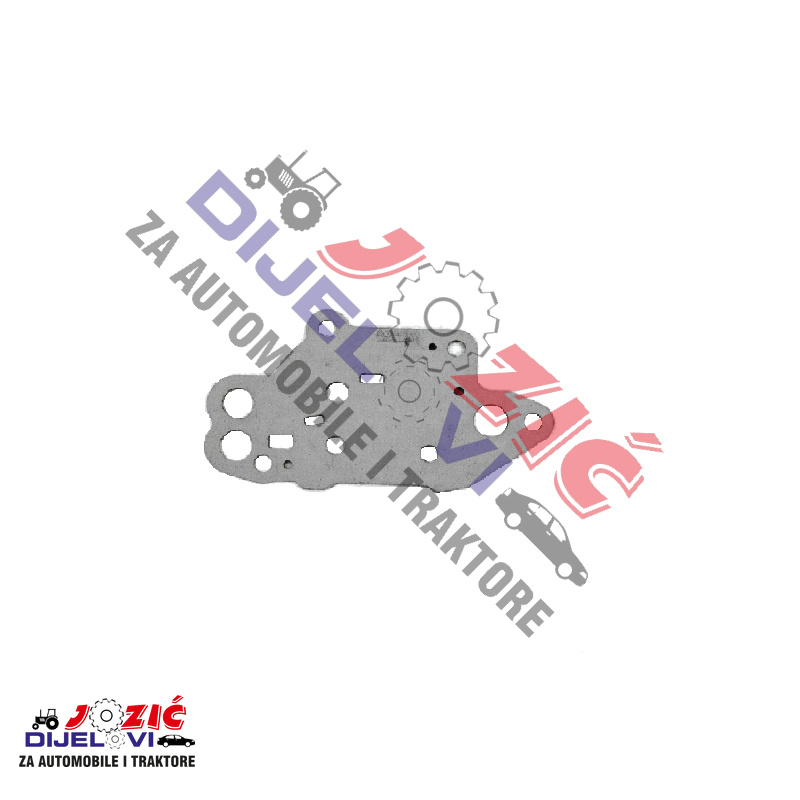 Daisy on the Ohoopee