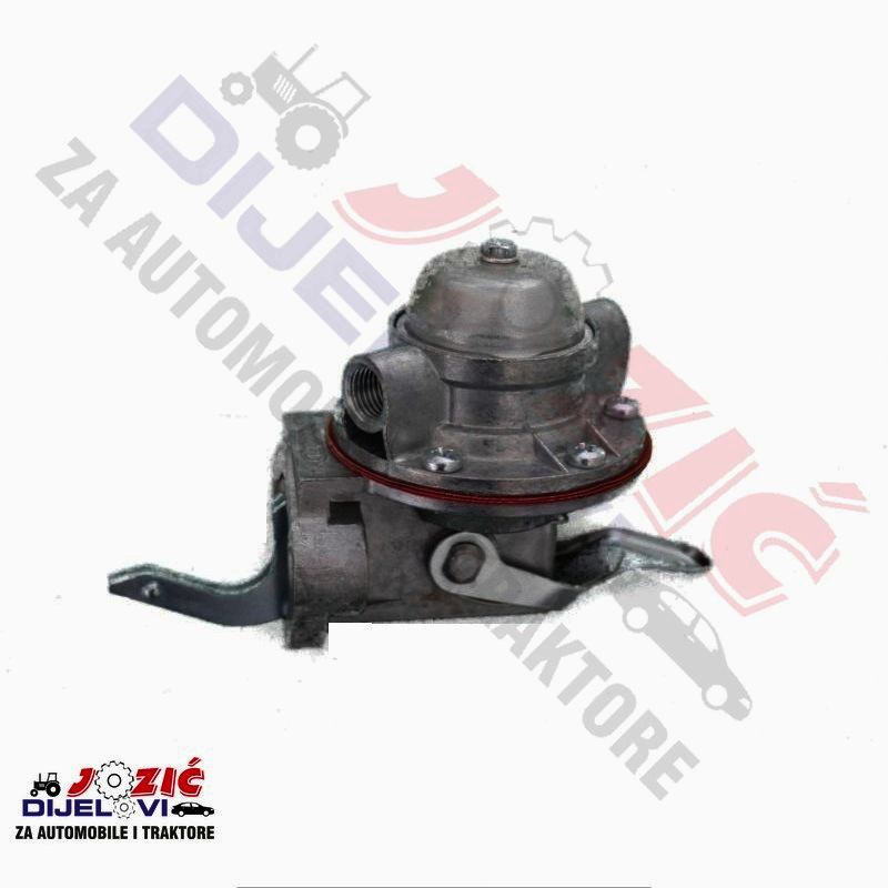 Daisy on the Ohoopee