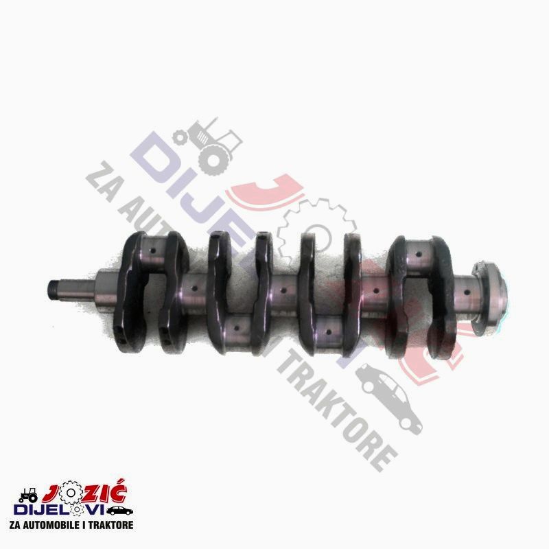 Daisy on the Ohoopee