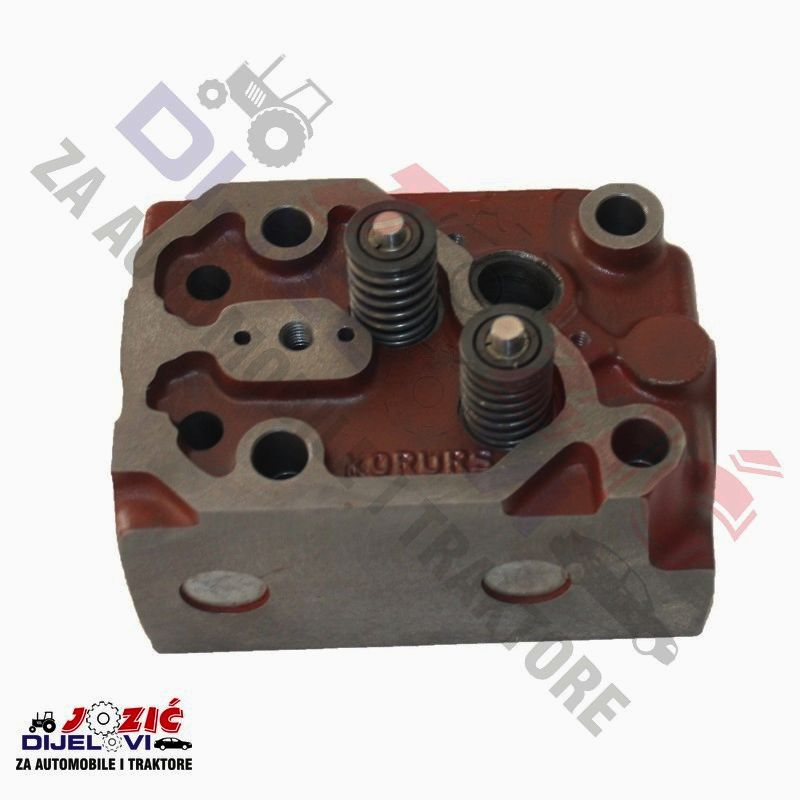 Daisy on the Ohoopee