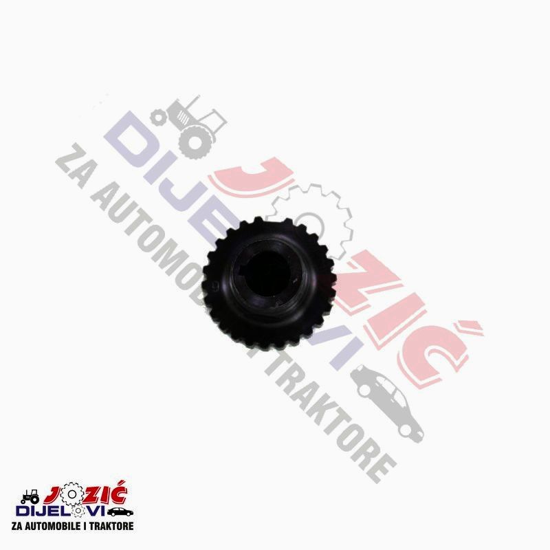 Daisy on the Ohoopee