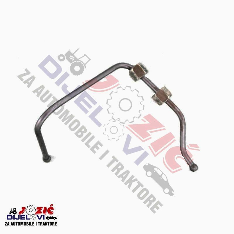 Daisy on the Ohoopee