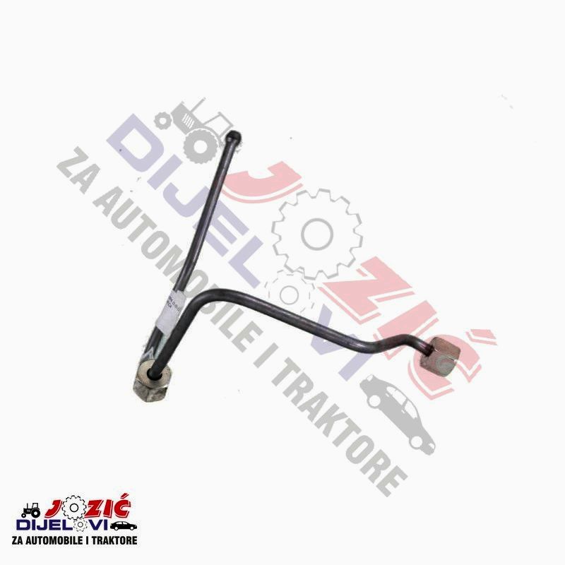 Daisy on the Ohoopee