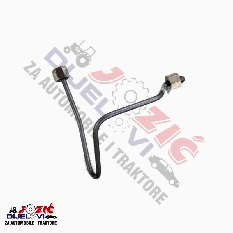 Daisy on the Ohoopee