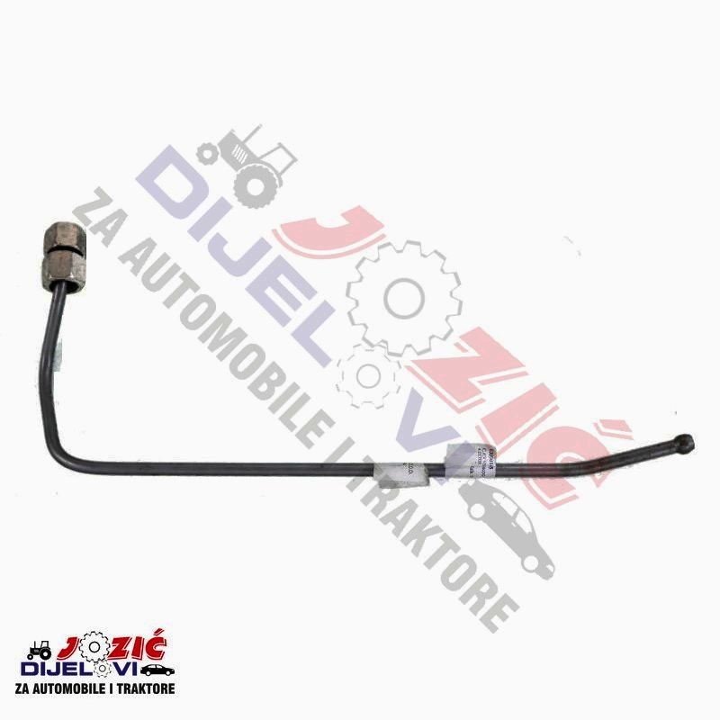 Daisy on the Ohoopee