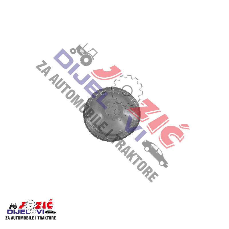 Daisy on the Ohoopee