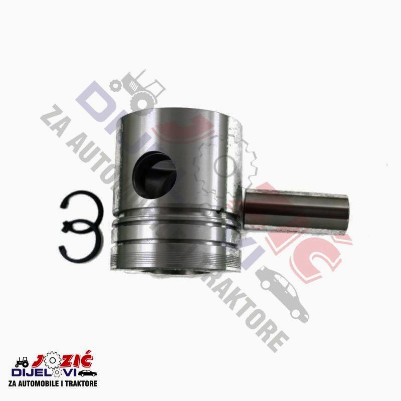 Daisy on the Ohoopee