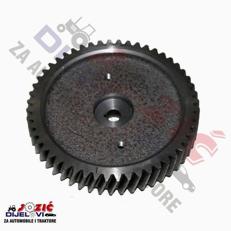 Daisy on the Ohoopee