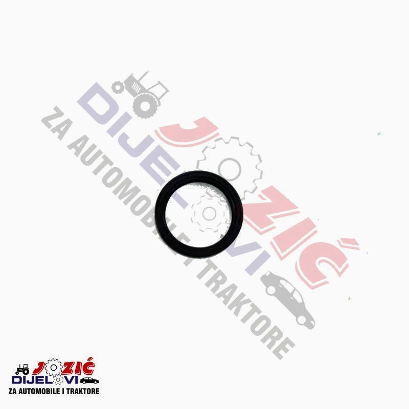 Daisy on the Ohoopee