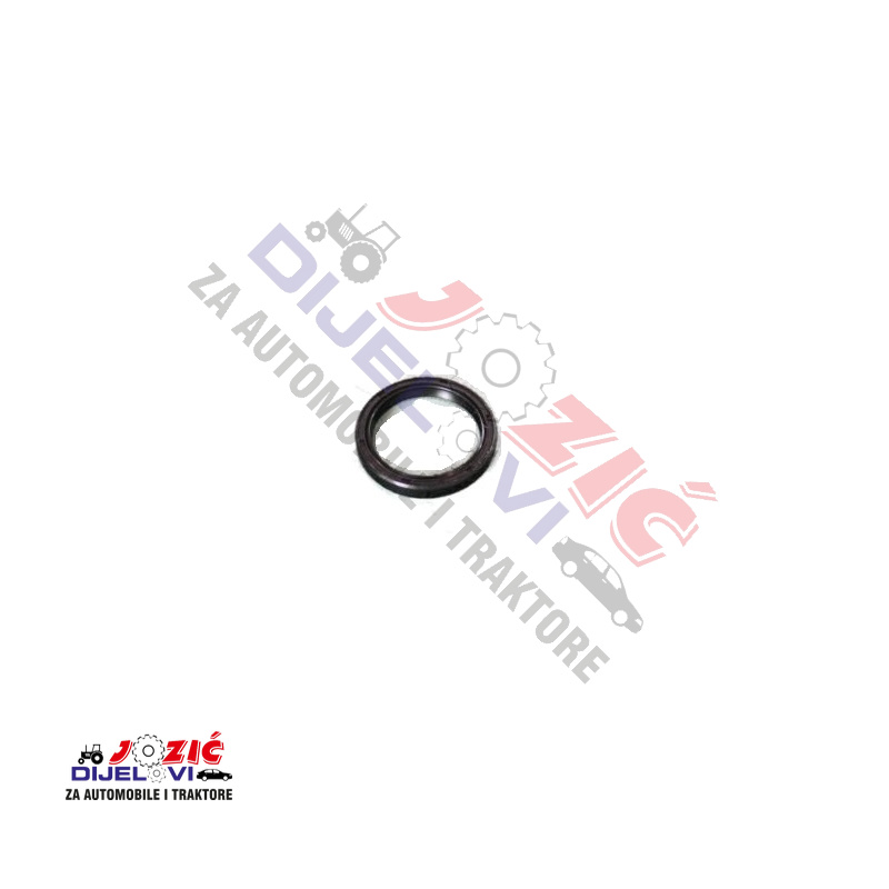 Daisy on the Ohoopee