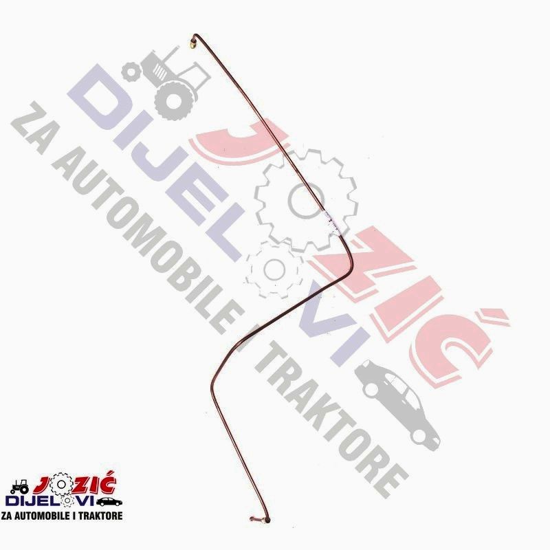 Daisy on the Ohoopee