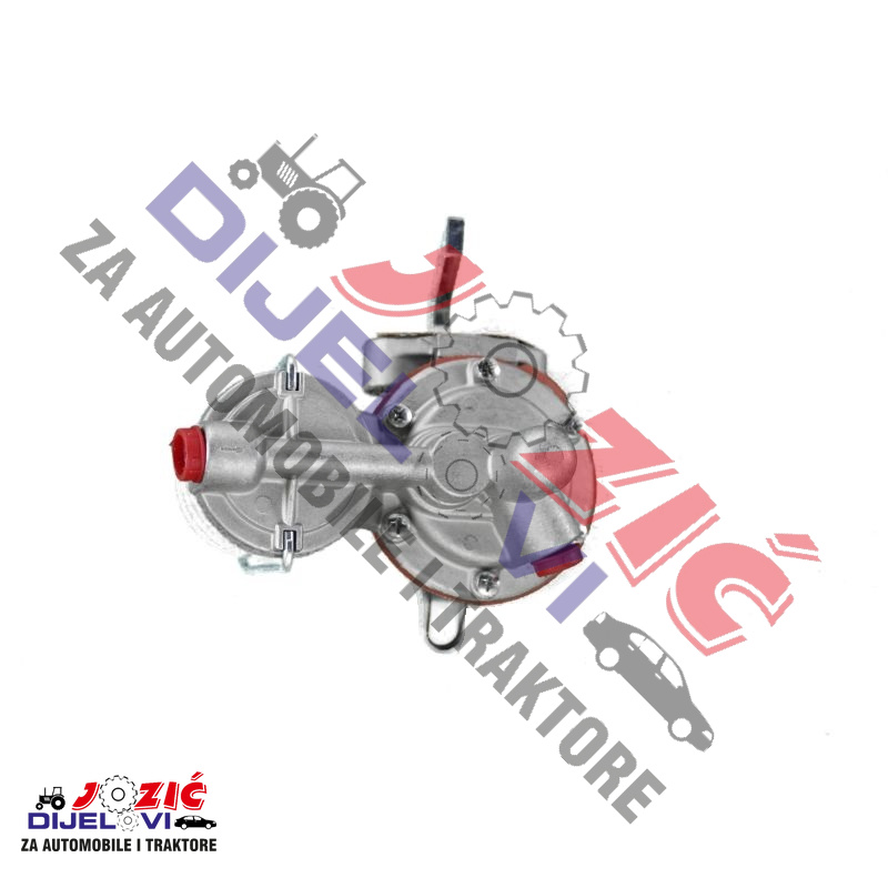 Daisy on the Ohoopee