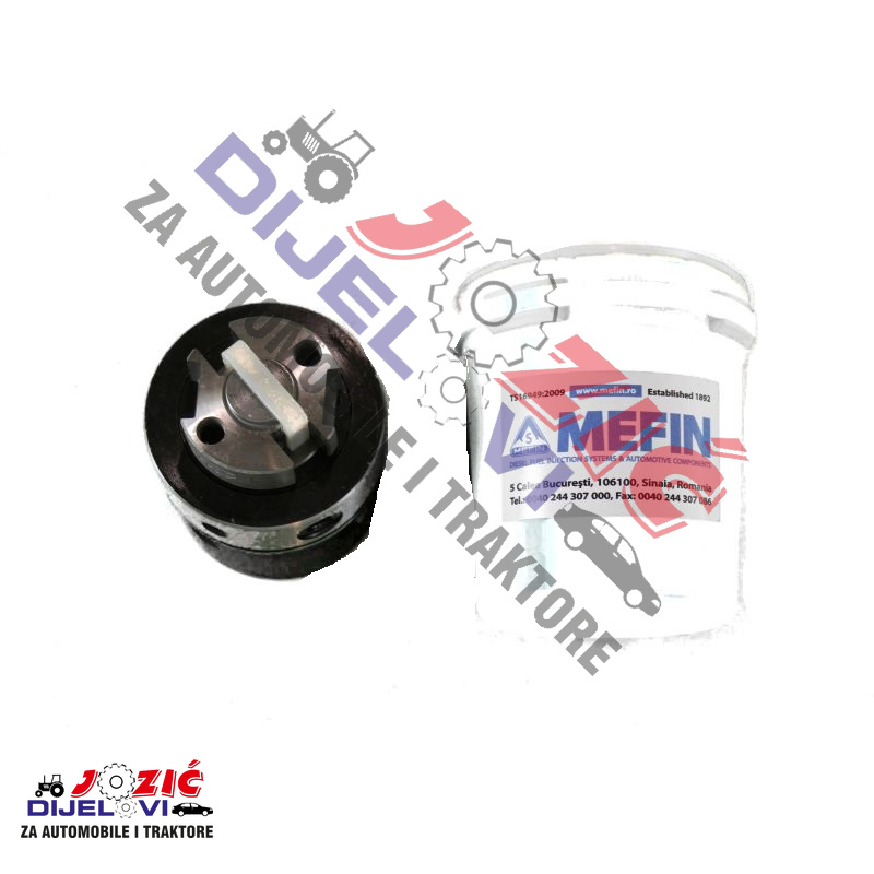 Daisy on the Ohoopee