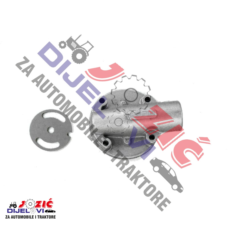 Daisy on the Ohoopee