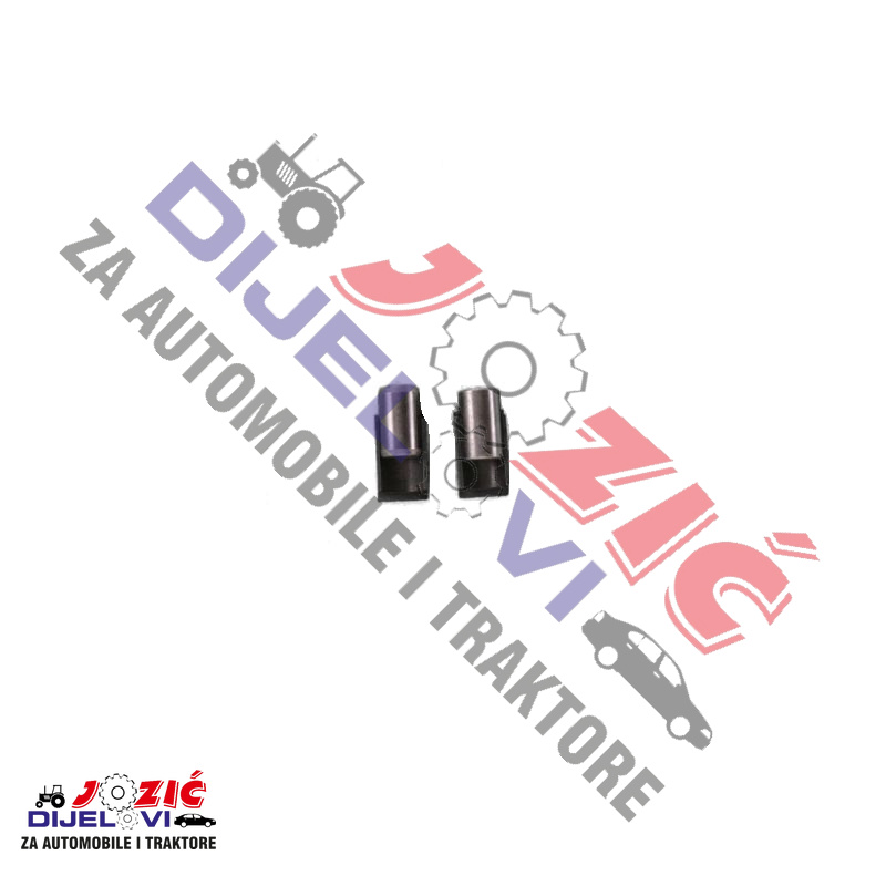 Daisy on the Ohoopee