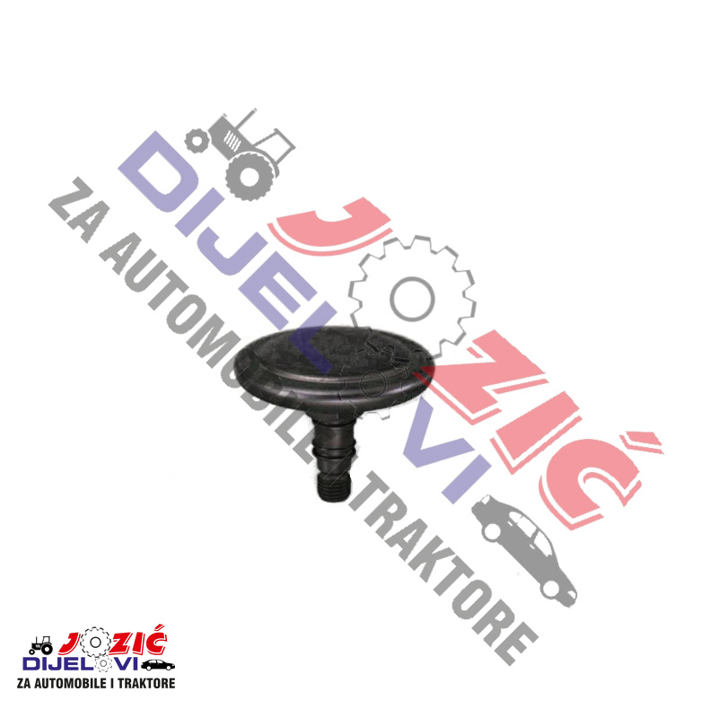 Daisy on the Ohoopee