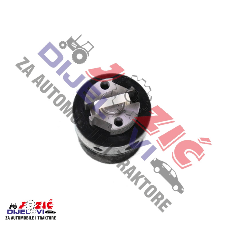 Daisy on the Ohoopee