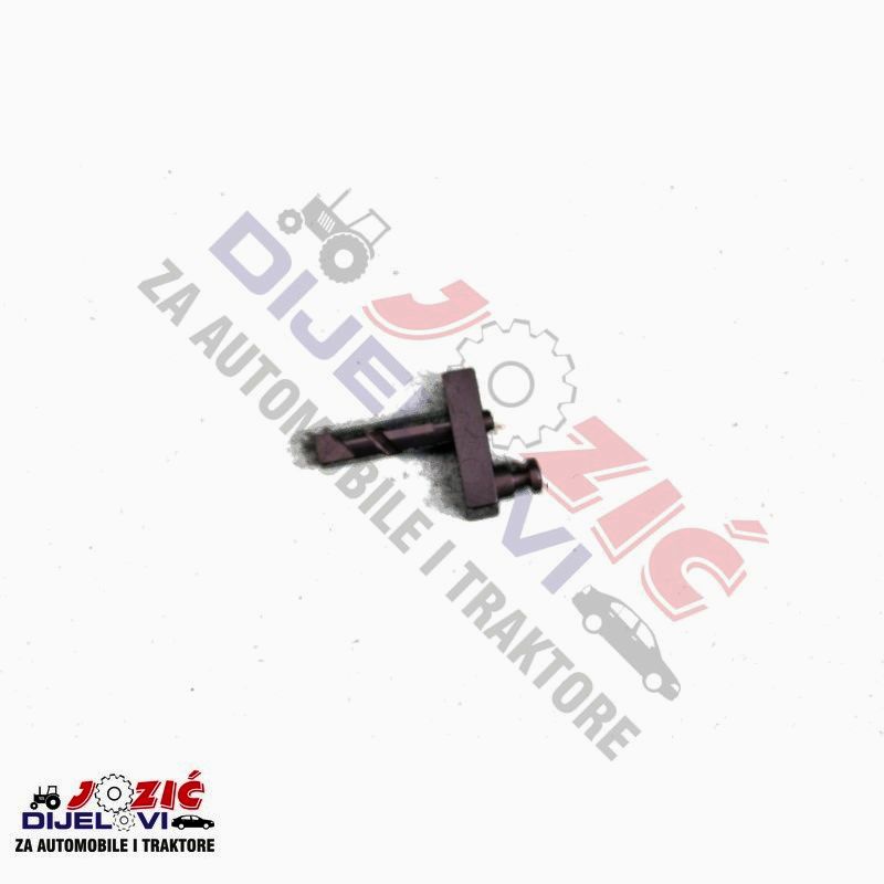 Daisy on the Ohoopee