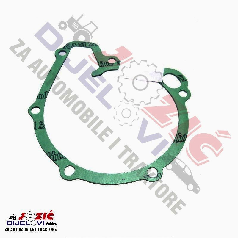 Daisy on the Ohoopee