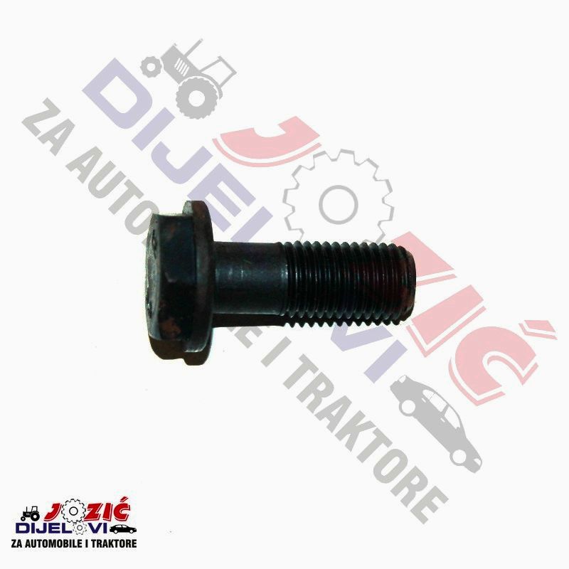 Daisy on the Ohoopee