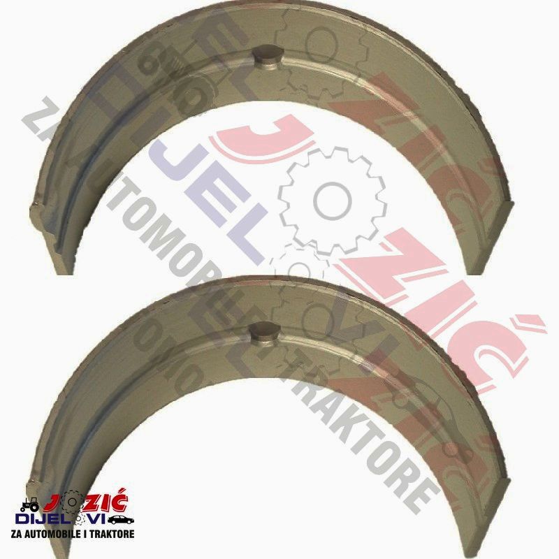 Daisy on the Ohoopee