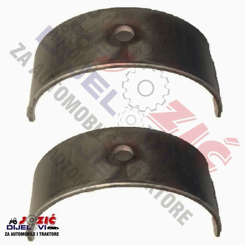 Daisy on the Ohoopee