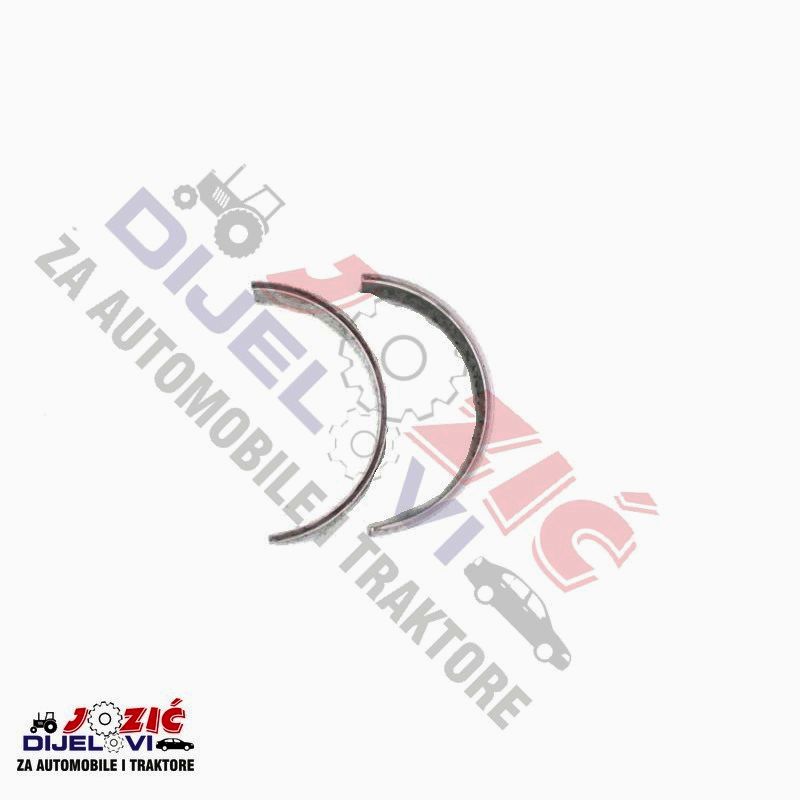 Daisy on the Ohoopee