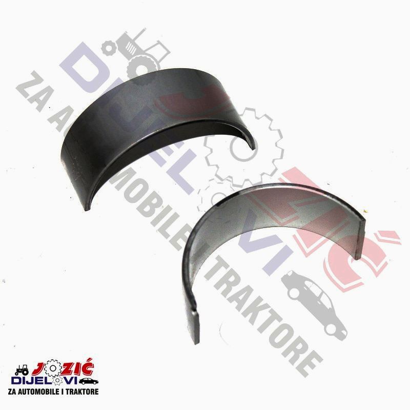 Daisy on the Ohoopee