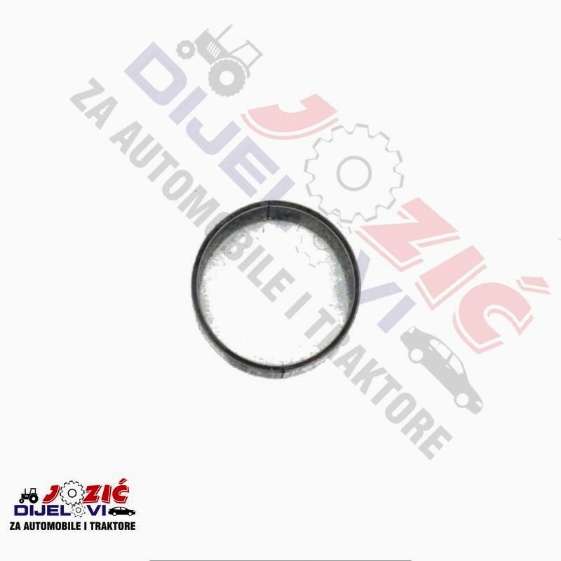 Daisy on the Ohoopee