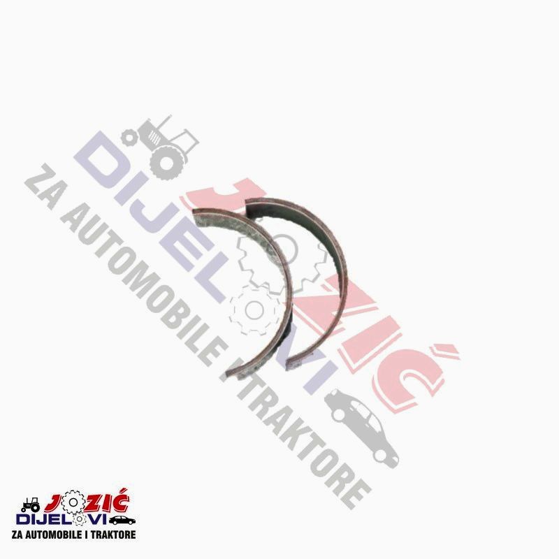 Daisy on the Ohoopee