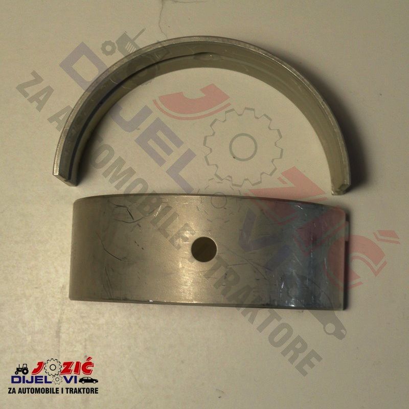 Daisy on the Ohoopee